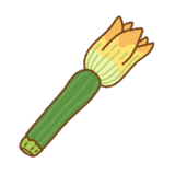 花ズッキーニのフリーイラスト Clip art of zucchini-flower