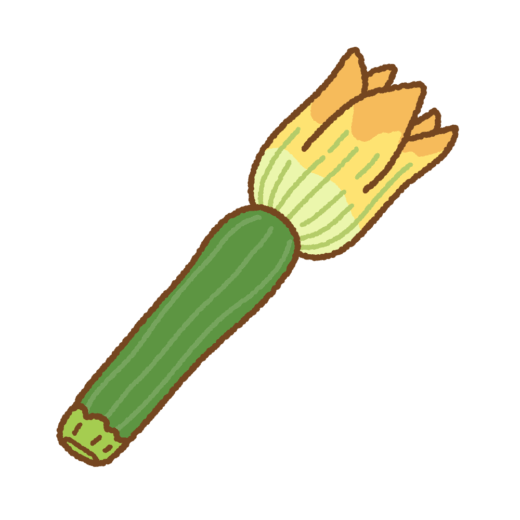 花ズッキーニのイラスト
