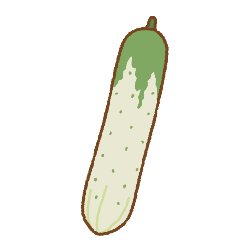 半白キュウリのイラスト