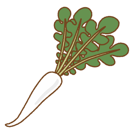 亀戸大根のイラスト