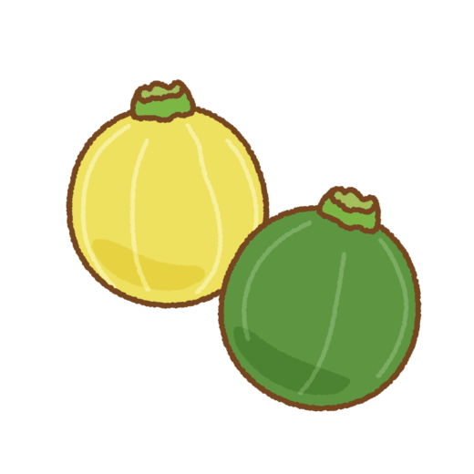 丸ズッキーニのイラスト