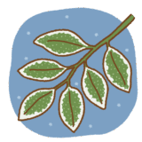 霜が降りる葉のフリーイラスト Clip art of frost leaves