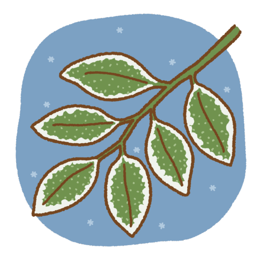 霜が降りるイラスト