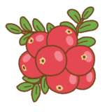 クランベリーのイラスト