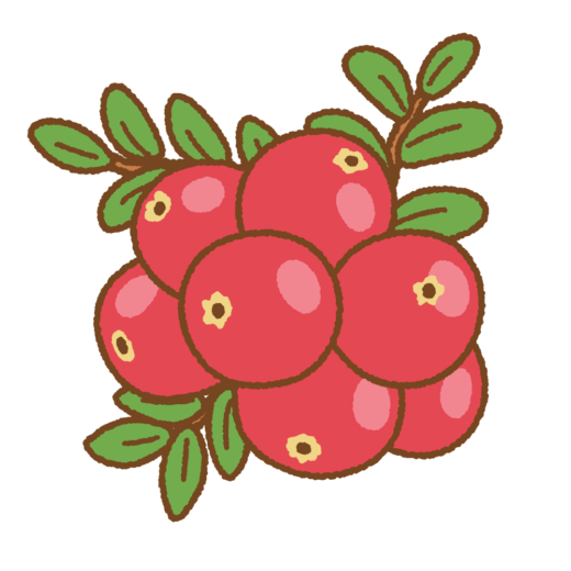 クランベリーのイラスト