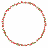 クランベリーの丸フレーム素材のフリーイラスト Clip art of cranberry circle frame