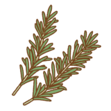 ローズマリーのフリーイラスト Clip art of rosemary