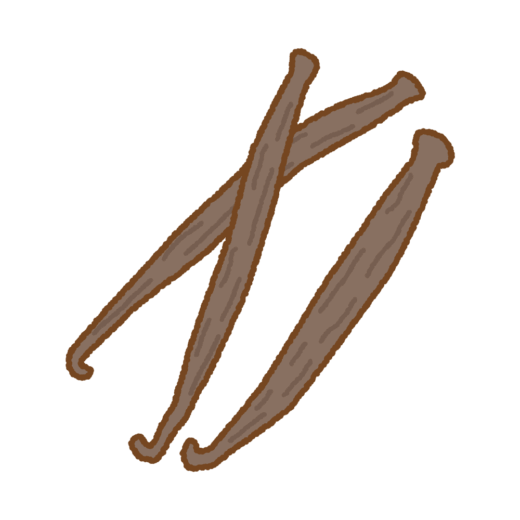 バニラビーンズのイラスト
