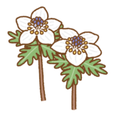 セツブンソウのフリーイラスト Clip art of setsubunsou