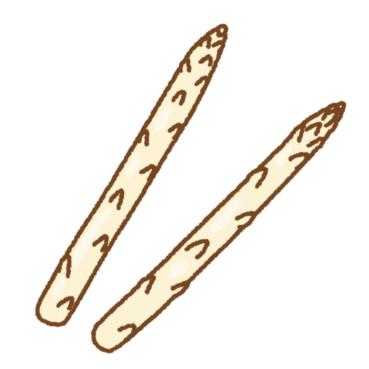 ホワイトアスパラガスのイラスト