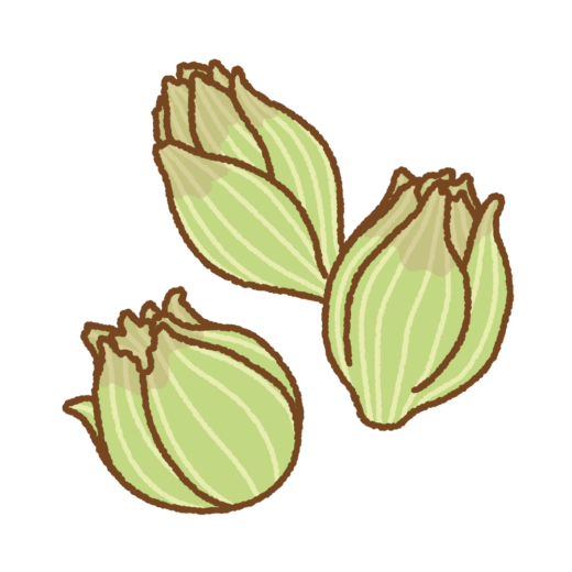 フキノトウのイラスト