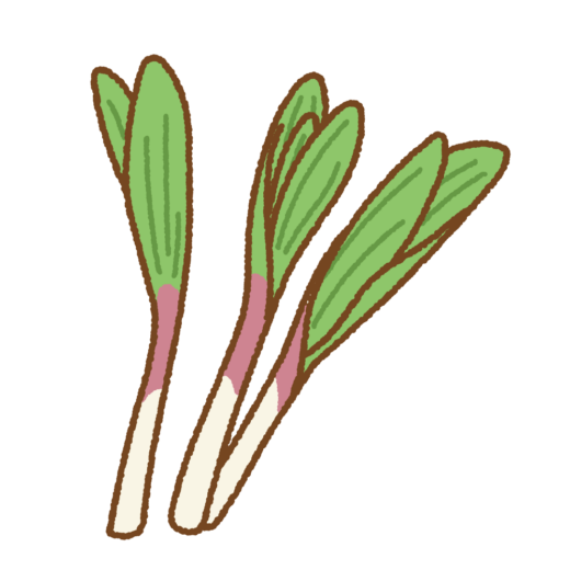 ギョウジャニンニクのイラスト