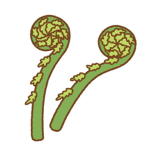 こごみのイラスト