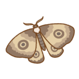 蛾のフリーイラスト Clip art of moth