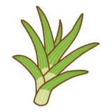 ノカンゾウのフリーイラスト Clip art of nokanzou