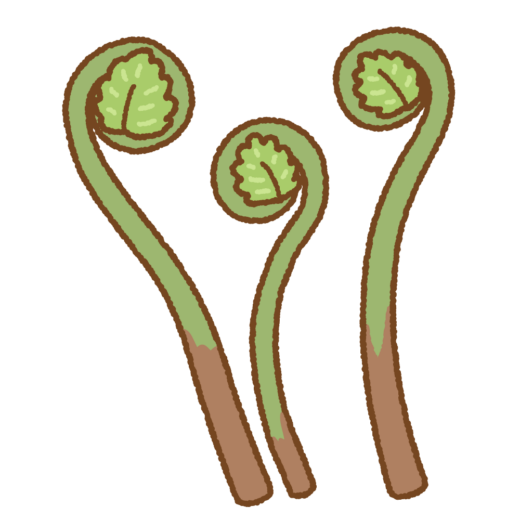 ゼンマイのイラスト