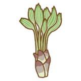 ハリギリのイラスト