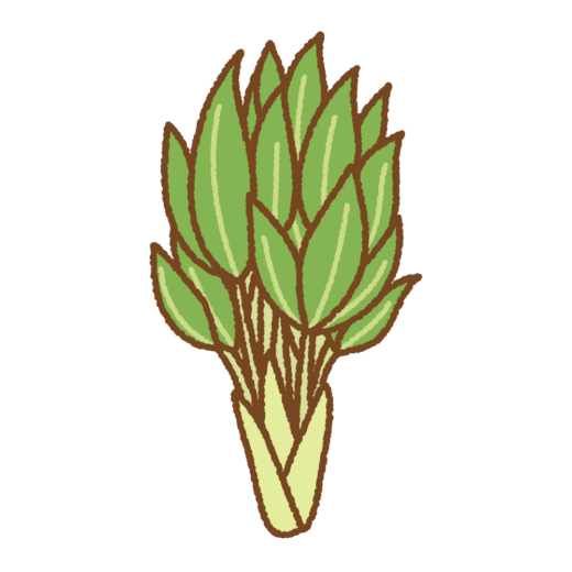 タカノツメのイラスト