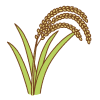 稲のフリーイラスト Clip art of
