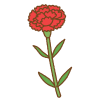 赤いカーネーションのフリーイラスト Clip art of red carnation