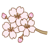 桜の花のフリーイラスト Clip art of cherry blossom flower